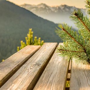 Schalungsbrett 18 mm, 2 m lang x 8 cm breit